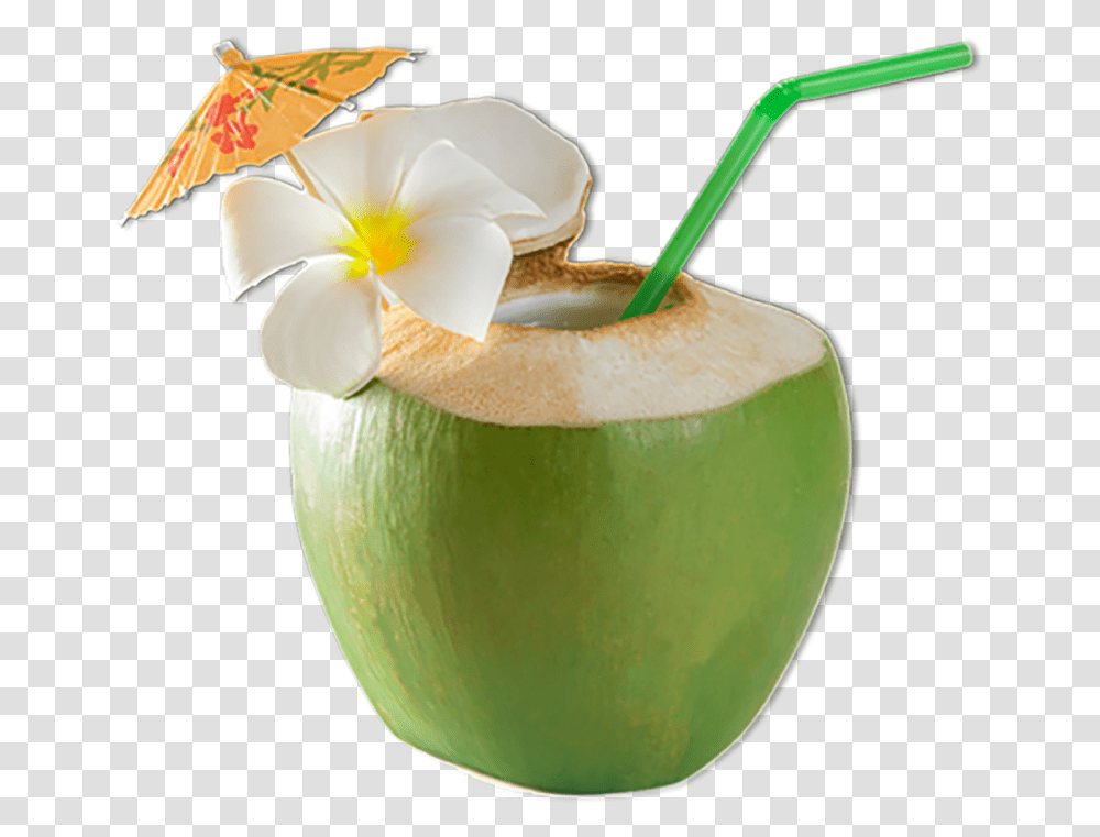 Coconut 03 Straw In Coconut, Plant, Fruit, Food, Vegetable Transparent Png