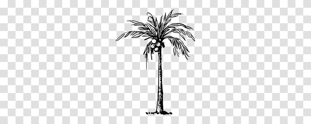 Coconut Nature, Gray, World Of Warcraft Transparent Png