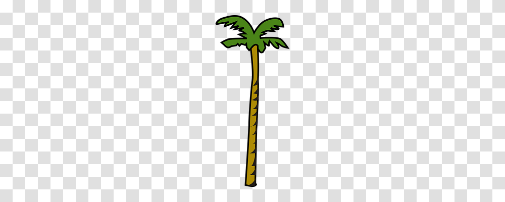 Coconut Nature, Axe, Tool, Stick Transparent Png