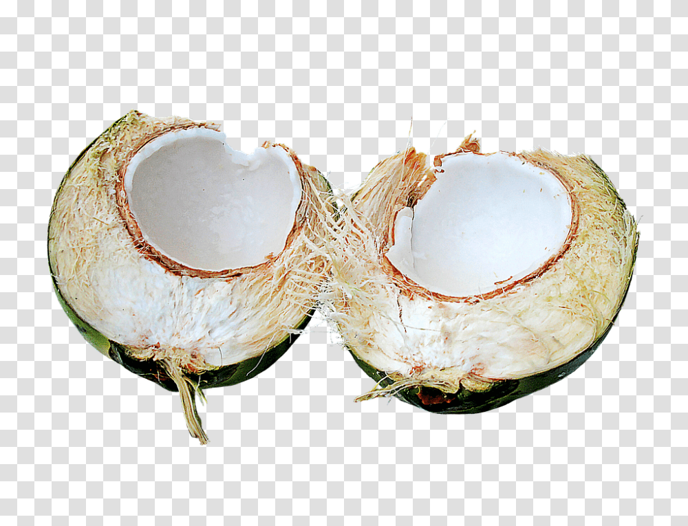 Coconut 960, Fruit, Plant, Vegetable, Food Transparent Png