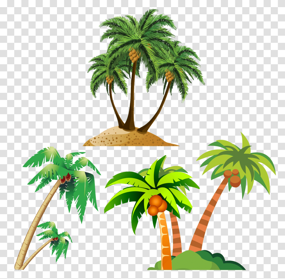 Coconut Arecaceae Royalty Free Background Coconut Tree Clipart, Plant, Palm Tree, Potted Plant, Vase Transparent Png