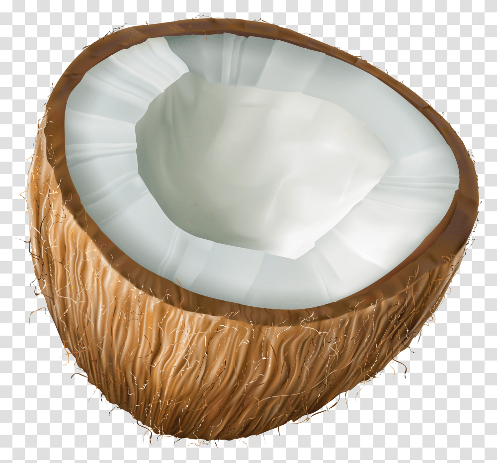 Coconut Bra Background Coconut Clipart Transparent Png