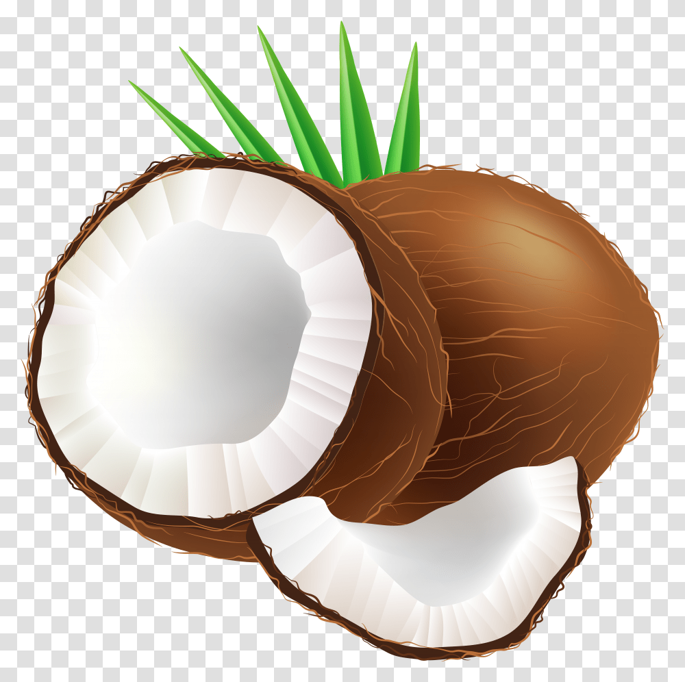 Coconut Bra Clip Art Of Coconut Transparent Png