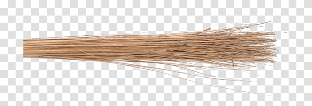 Coconut Broom Images Plywood, Oars, Team Sport, Sports, Paddle Transparent Png