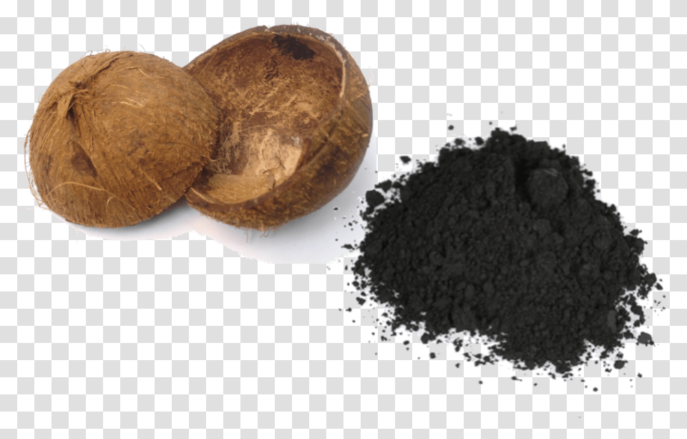Coconut Charcoal Activated Carbon, Plant, Turtle, Reptile, Sea Life Transparent Png