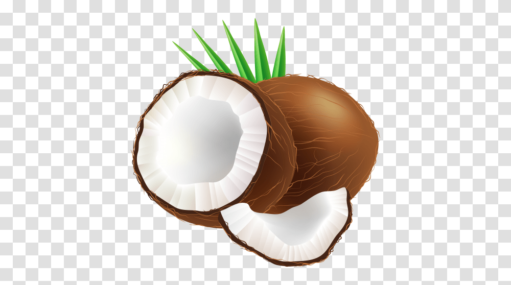 Coconut Clip Art, Invertebrate, Animal, Clam, Seashell Transparent Png