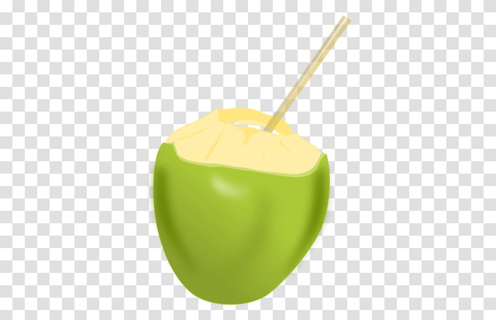 Coconut Clip Art, Plant, Tennis Ball, Sport, Sports Transparent Png