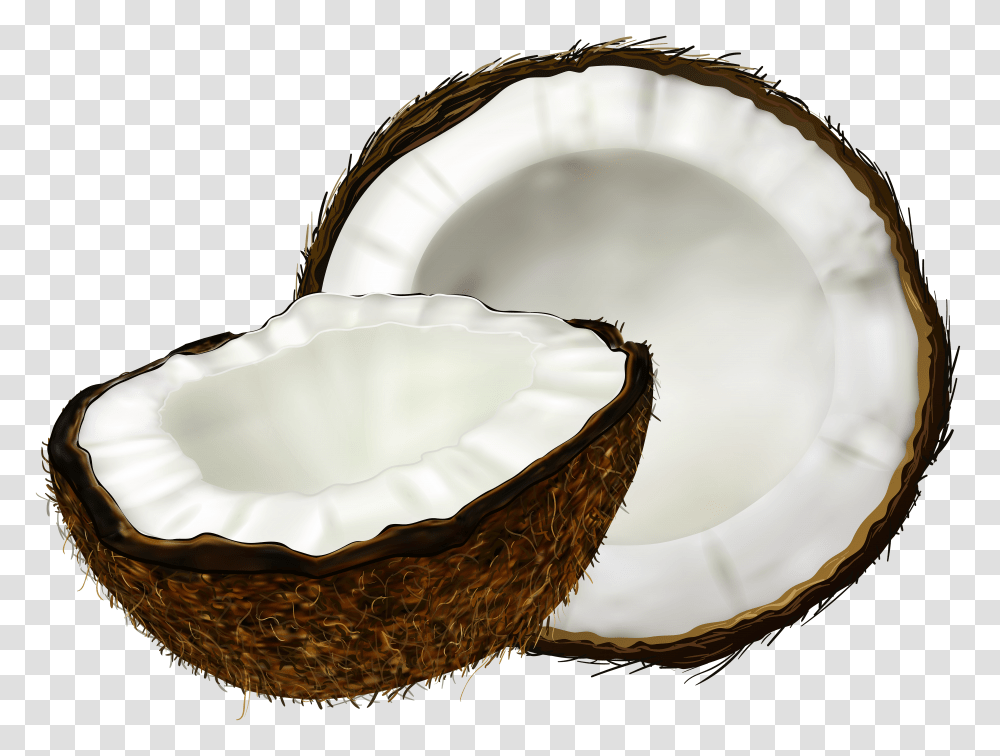 Coconut Clip Art Transparent Png