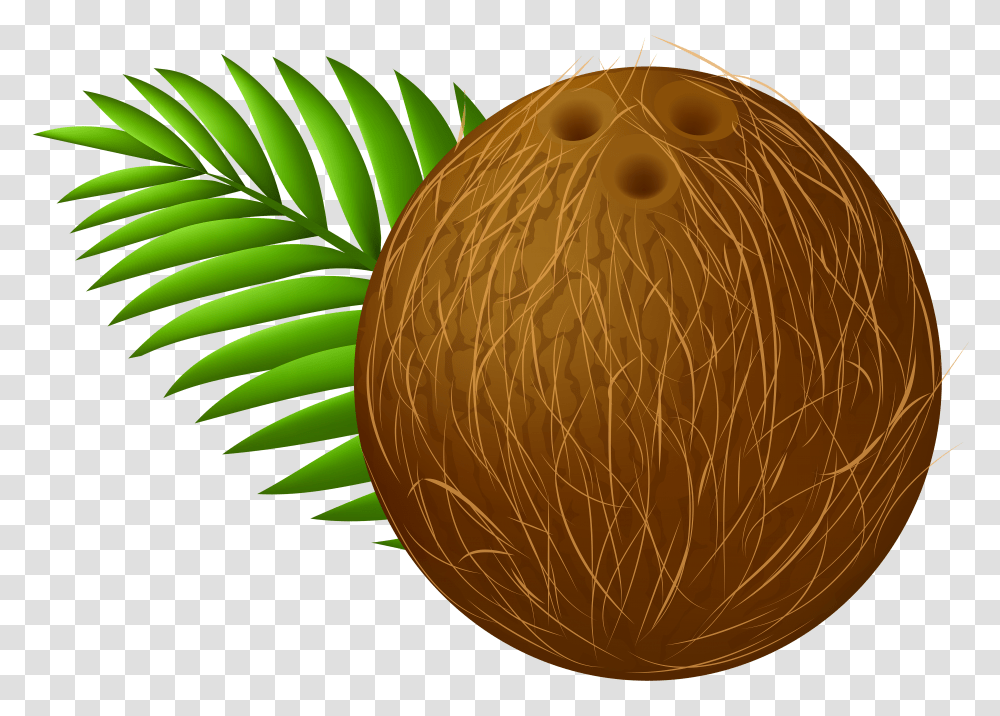 Coconut Clip Art Transparent Png