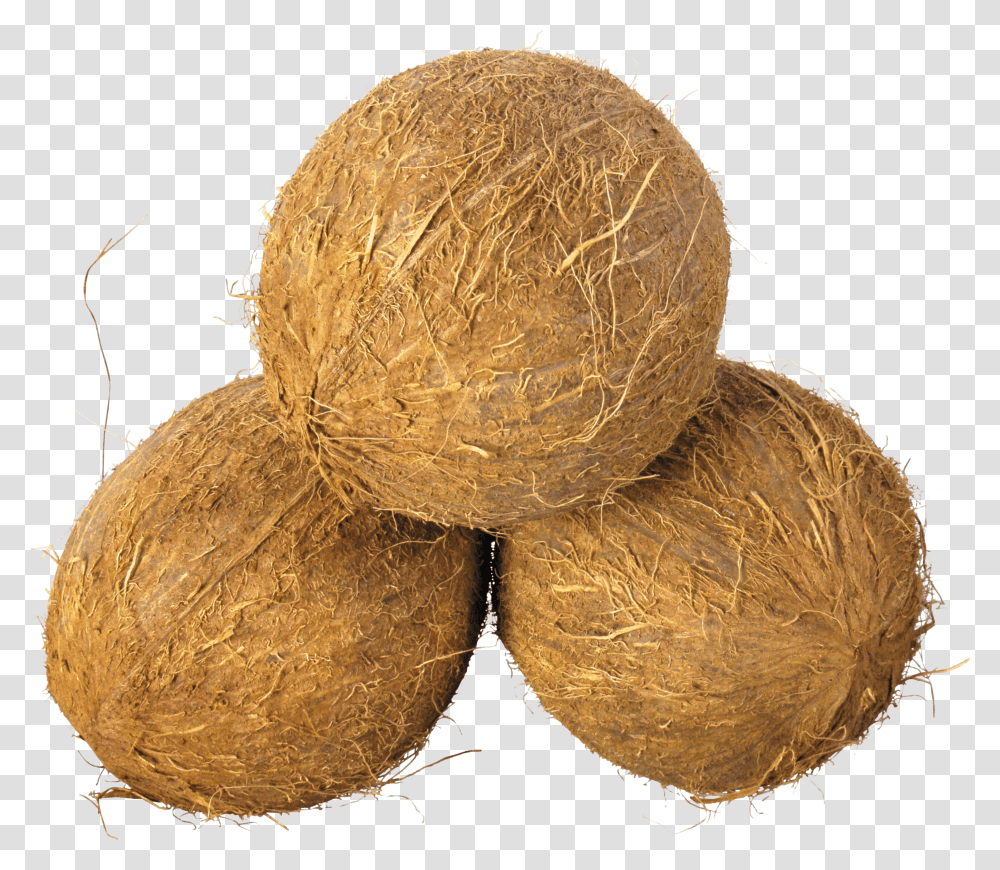 Coconut Clipart Background Coco Nuts, Plant, Vegetable, Food, Fruit Transparent Png