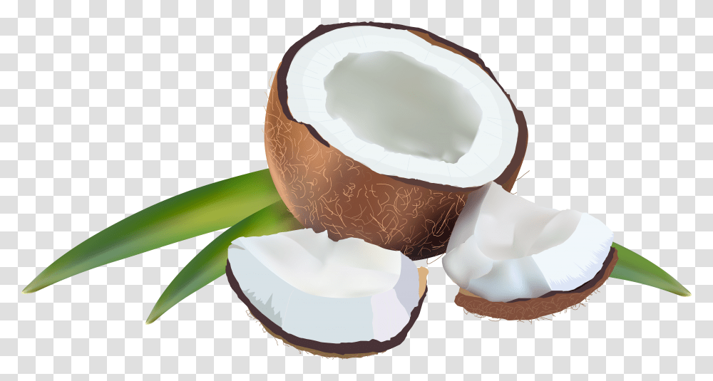 Coconut Clipart Background Coconut Clipart, Plant, Vegetable, Food, Fruit Transparent Png