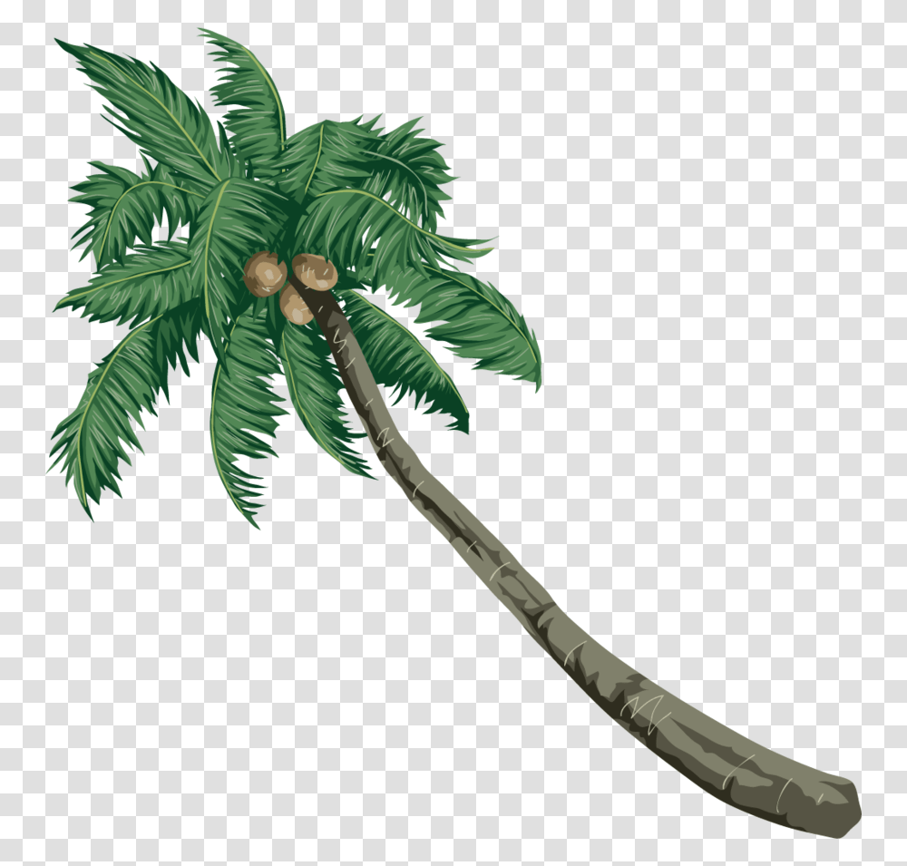 Coconut Clipart Coconut Palm Trees Sea Beach Vector, Plant, Fern, Leaf, Annonaceae Transparent Png