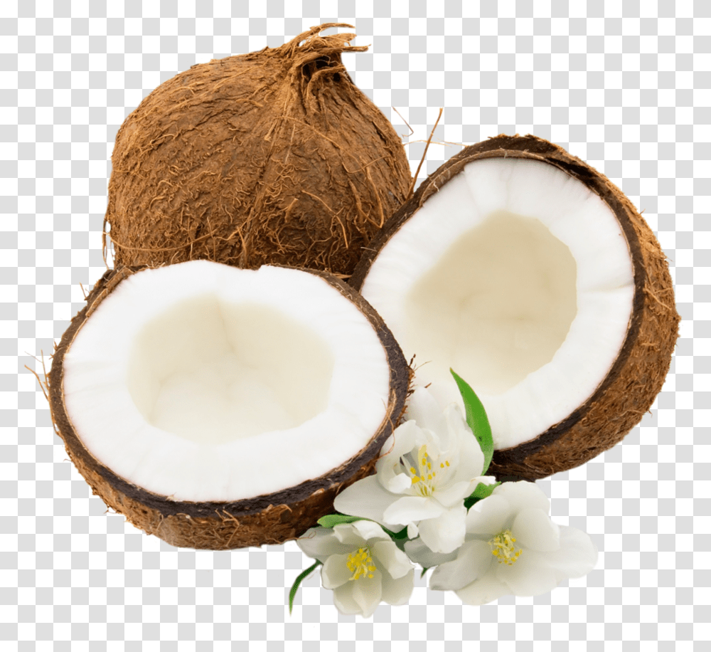 Coconut Clipart Coconut, Plant, Vegetable, Food, Fruit Transparent Png