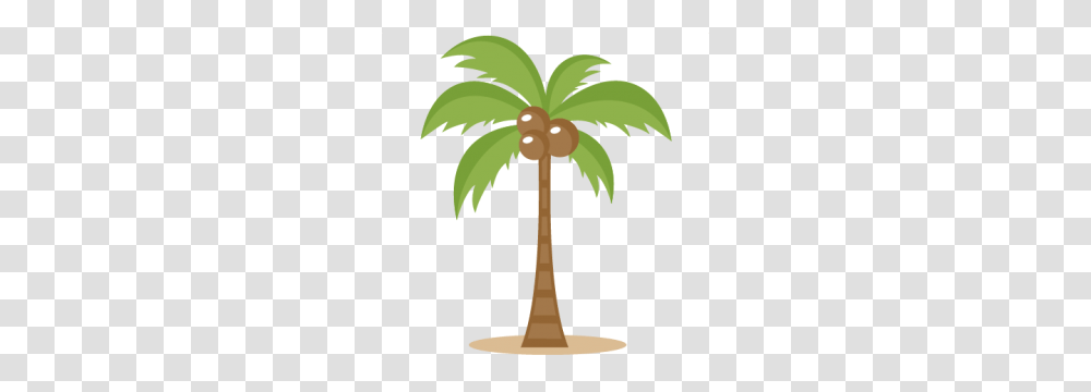 Coconut Clipart Cut, Tree, Plant, Palm Tree, Arecaceae Transparent Png