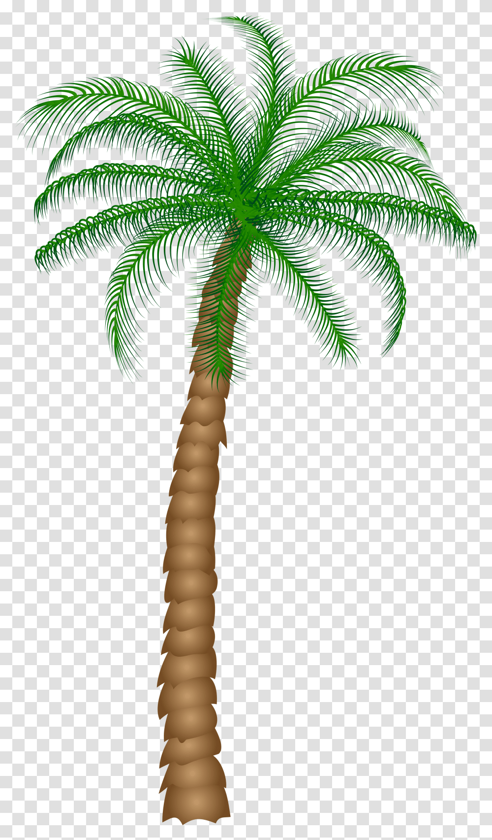 Coconut Clipart Date Tree Palm Tree Background, Plant, Arecaceae, Green, Cross Transparent Png