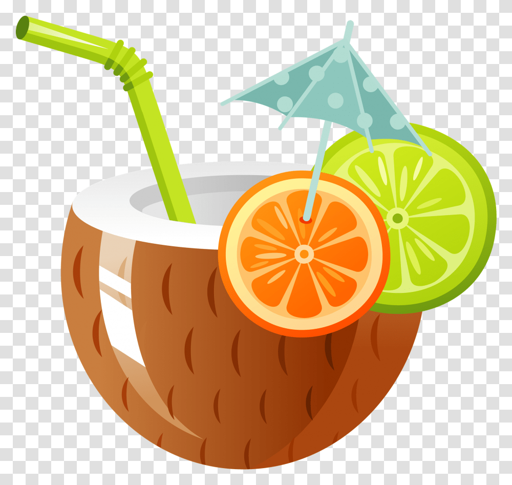 Coconut Clipart Drink Health Benefits Of Coconut Water, Plant, Fruit, Food, Vegetable Transparent Png