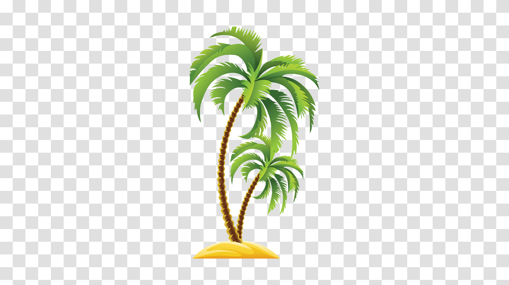 Coconut Clipart Nariyal, Plant, Palm Tree, Arecaceae, Leaf Transparent Png