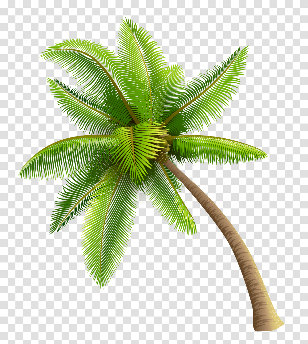 Coconut Clipart Watercolor Coconut Tree Vector, Plant, Leaf, Green, Aloe Transparent Png
