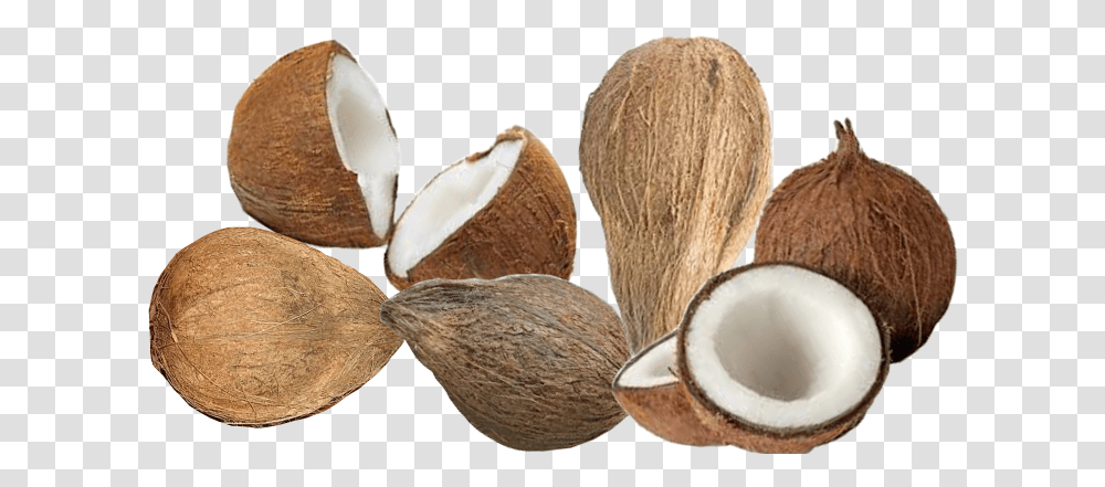 Coconut Coconut Copra, Plant, Vegetable, Food, Fruit Transparent Png