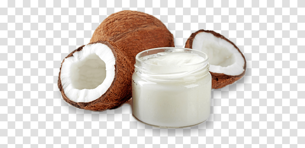 Coconut Coconut Oil Image Download, Plant, Vegetable, Food, Fruit Transparent Png