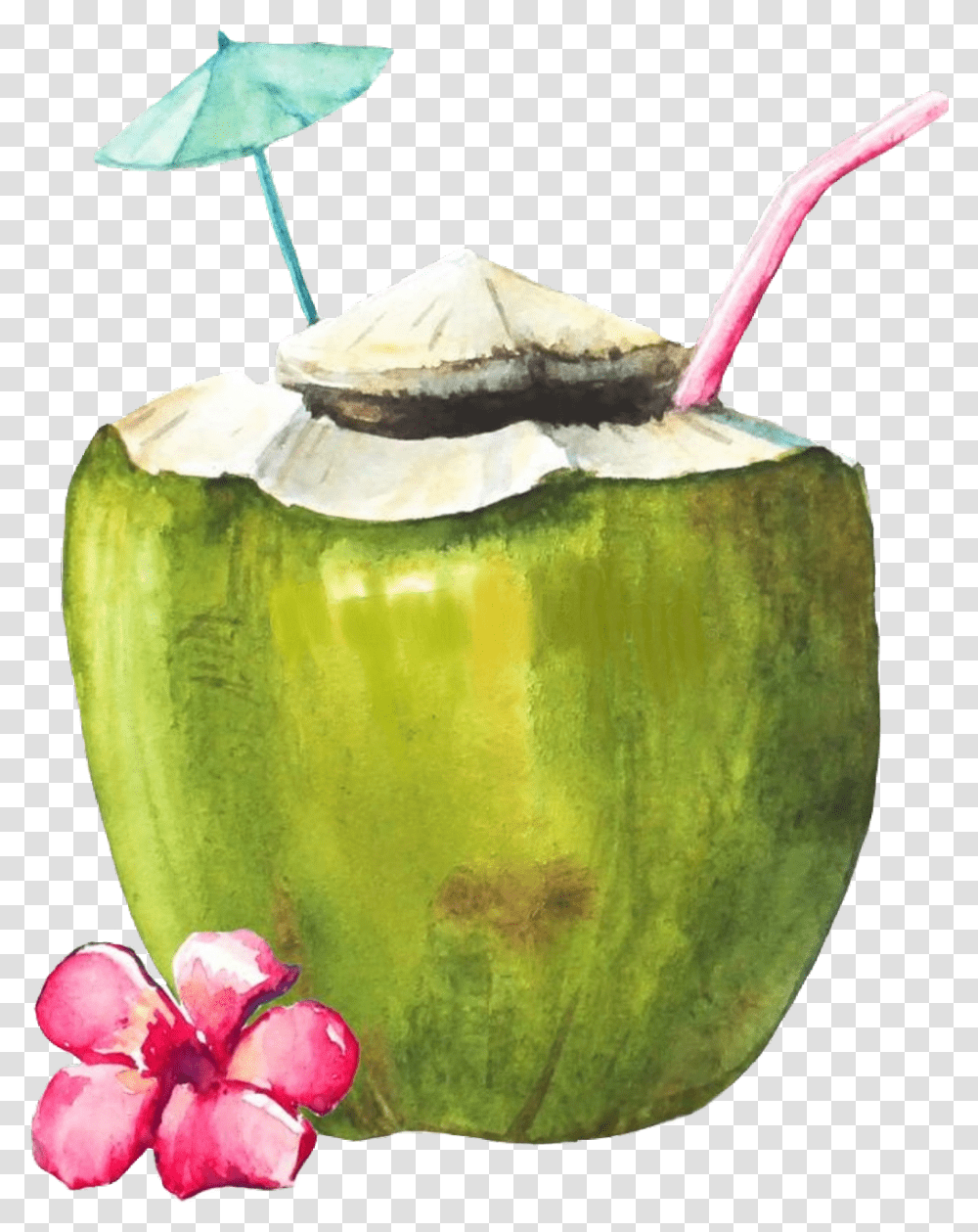 Coconut Coconutdrink Scbeachessentials Beachessentials Green Coconut With Straw Painting, Plant, Vegetable, Food Transparent Png