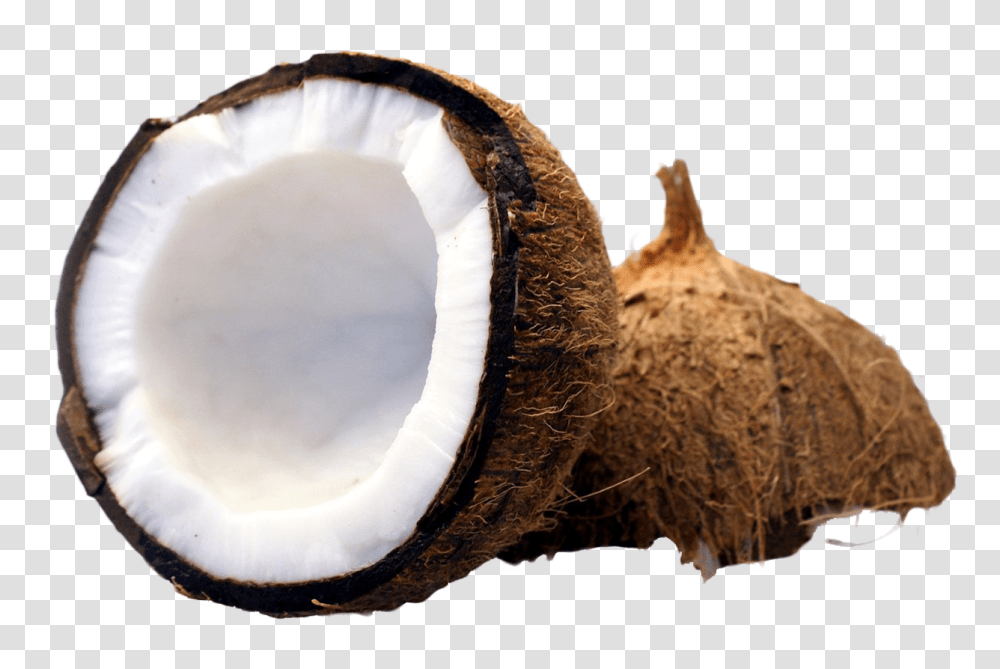 Coconut Cut In Half Image, Fruit, Plant, Vegetable, Food Transparent Png