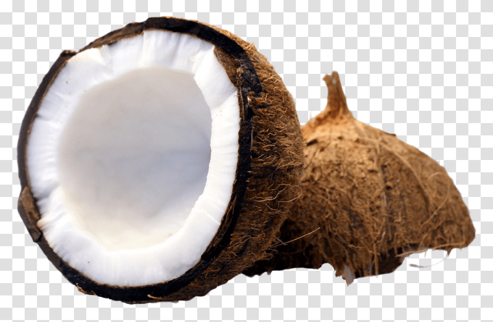 Coconut Cut In Half Image, Plant, Vegetable, Food, Fruit Transparent Png