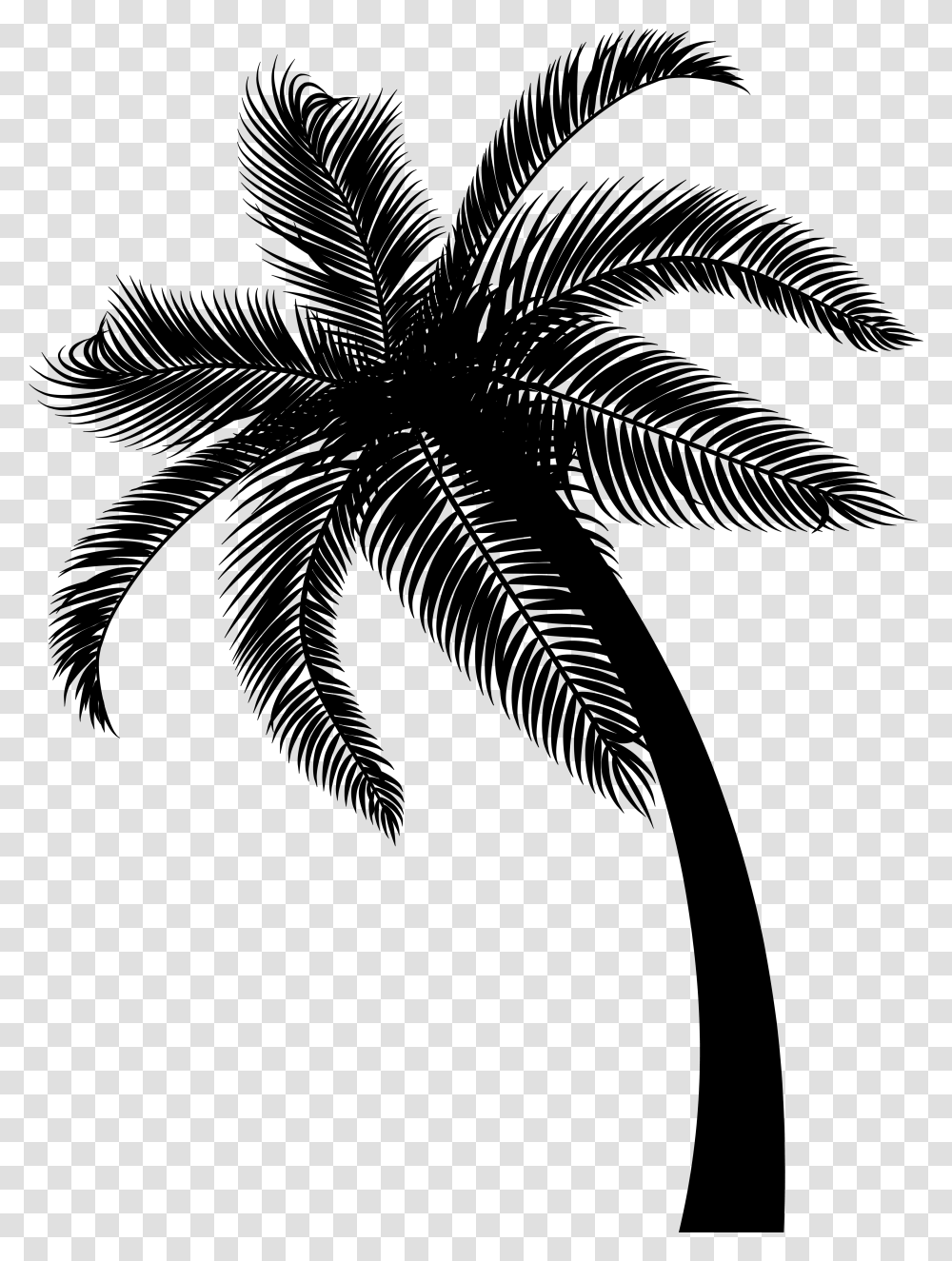 Coconut Date Palm Leaf Palm Trees Background Date Tree, Gray, World Of Warcraft Transparent Png
