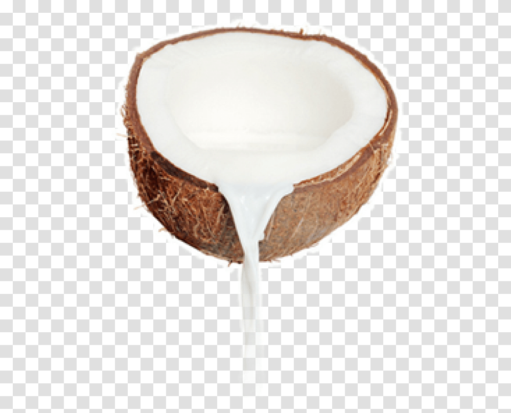 Coconut Free Download Coconut Milk No Background, Plant, Vegetable, Food, Fruit Transparent Png