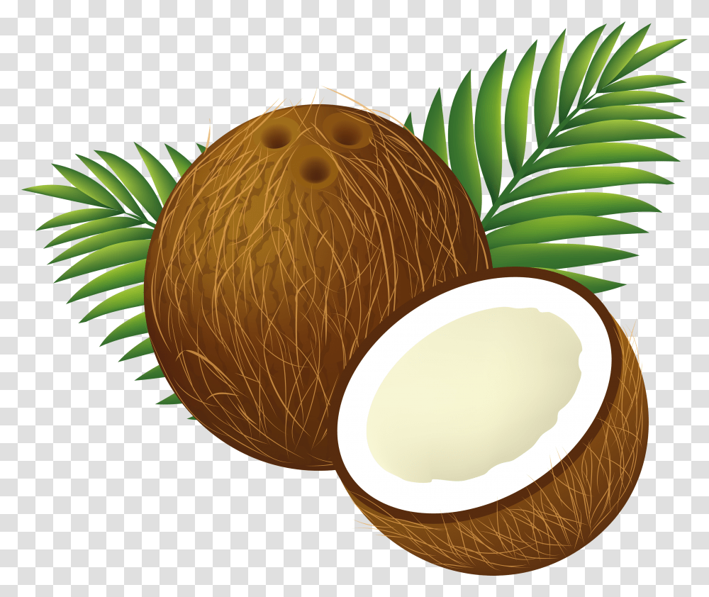 Coconut, Fruit, Plant, Food, Vegetable Transparent Png