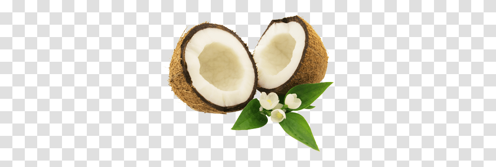 Coconut, Fruit, Plant, Food, Vegetable Transparent Png