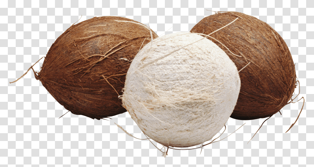 Coconut, Fruit, Plant, Vegetable, Food Transparent Png