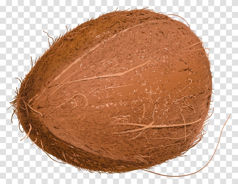 Coconut, Fruit, Plant, Vegetable, Food Transparent Png