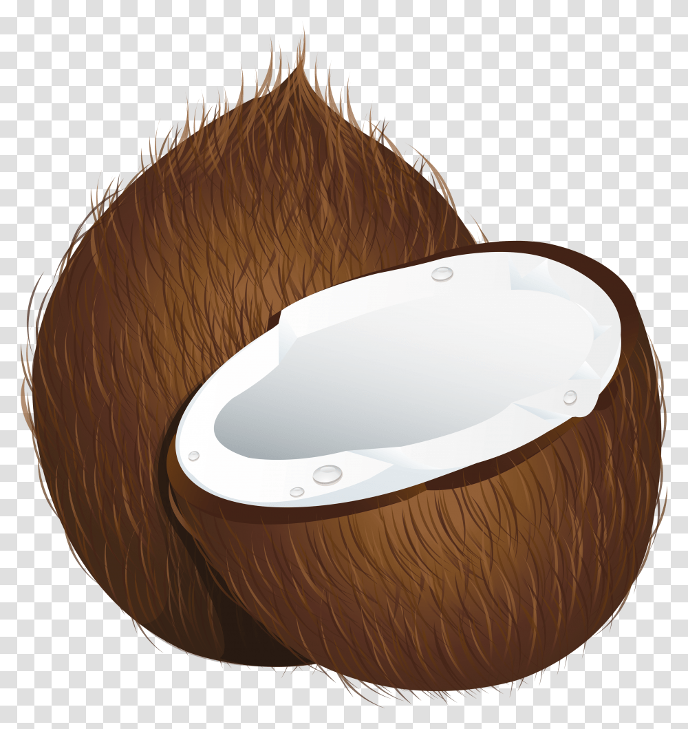 Coconut, Fruit, Plant, Vegetable, Food Transparent Png