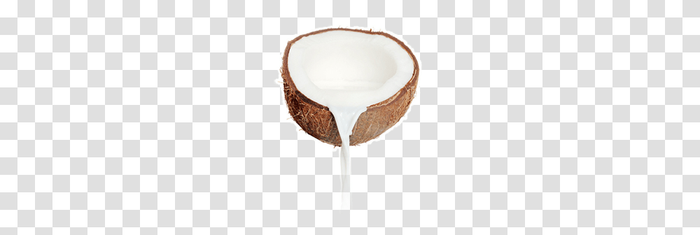 Coconut, Fruit, Plant, Vegetable, Food Transparent Png