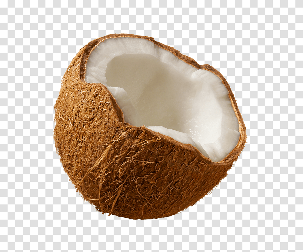 Coconut, Fruit, Plant, Vegetable, Food Transparent Png