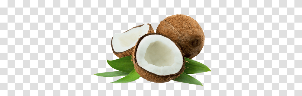 Coconut, Fruit, Plant, Vegetable, Food Transparent Png