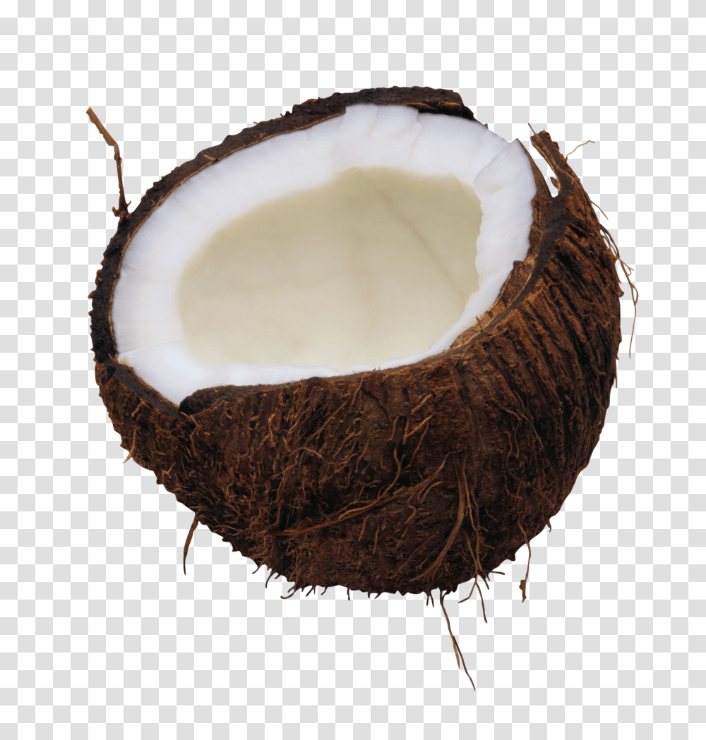 Coconut, Fruit, Plant, Vegetable, Food Transparent Png