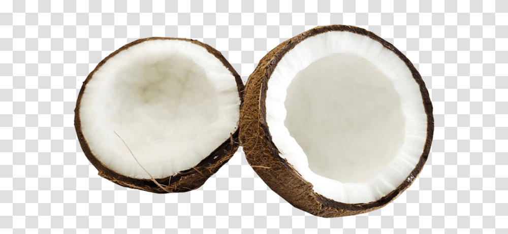 Coconut, Fruit, Plant, Vegetable, Food Transparent Png