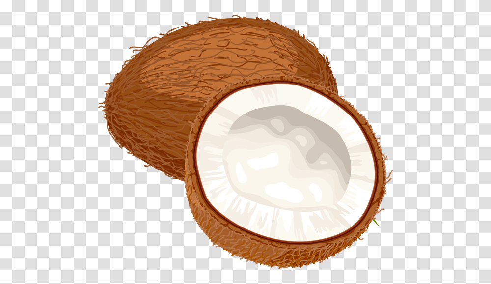 Coconut, Fruit, Plant, Vegetable, Food Transparent Png