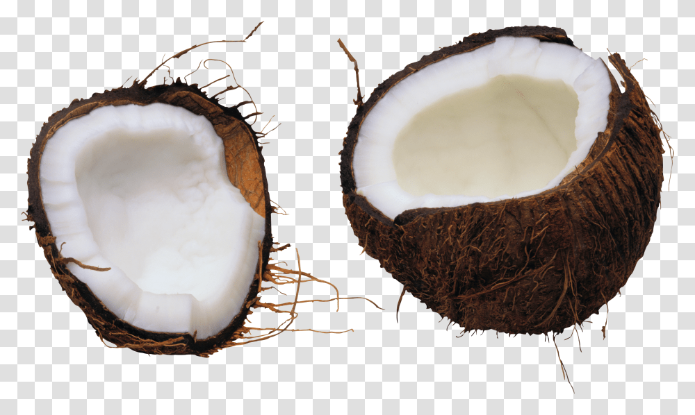 Coconut, Fruit Transparent Png