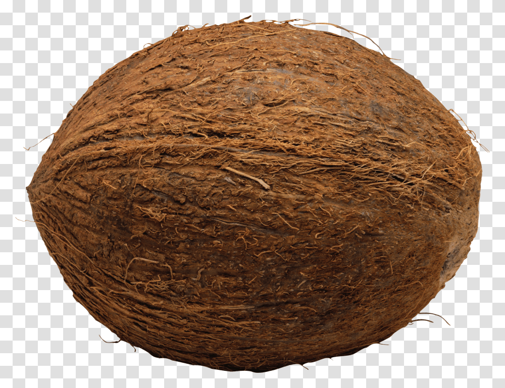 Coconut, Fruit Transparent Png