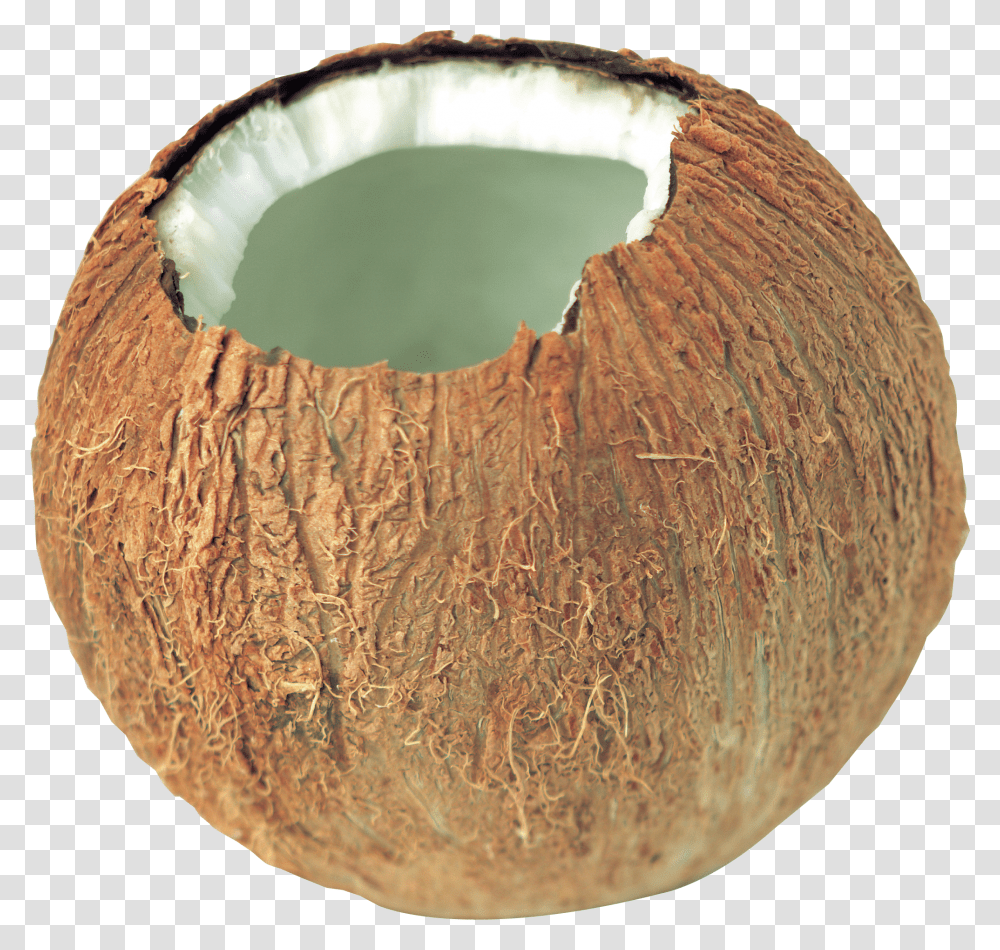 Coconut, Fruit Transparent Png