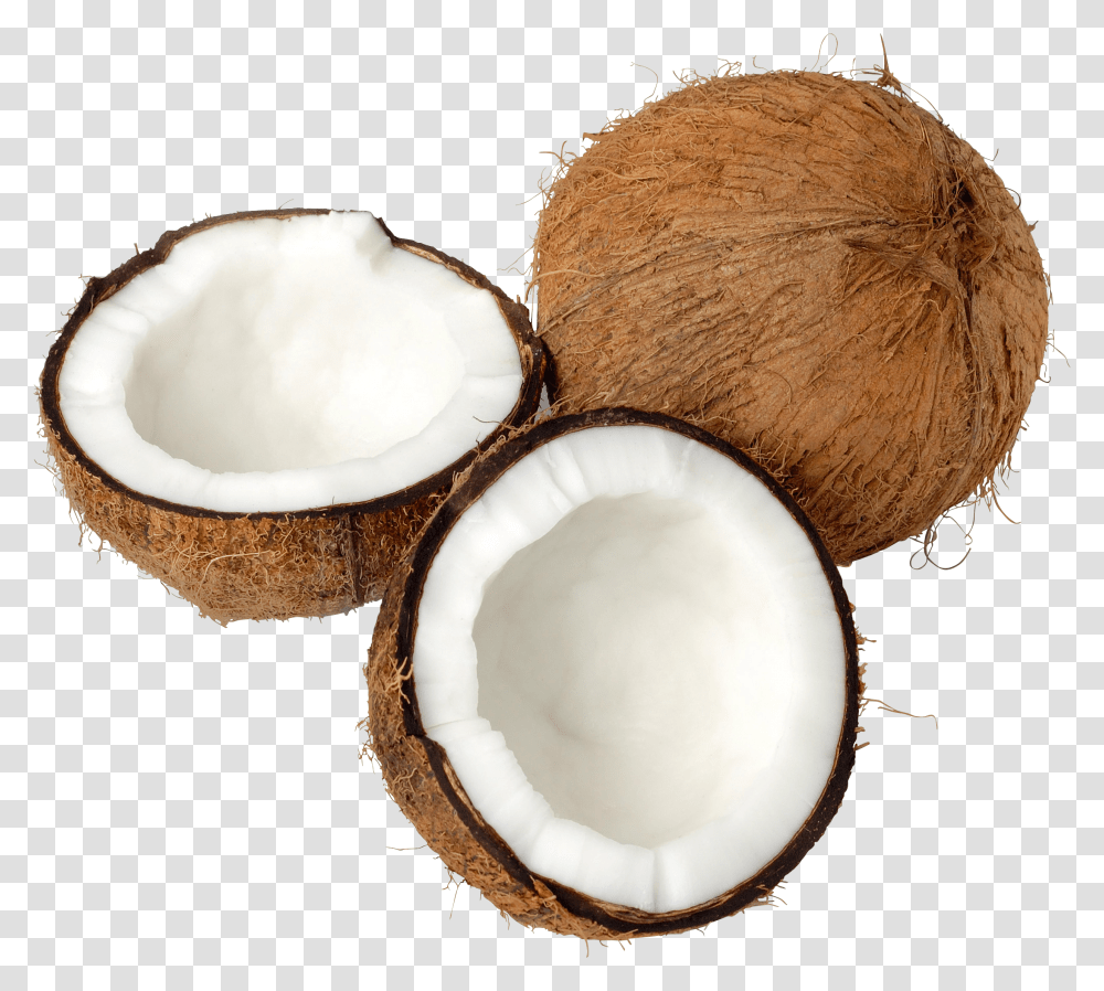 Coconut, Fruit Transparent Png