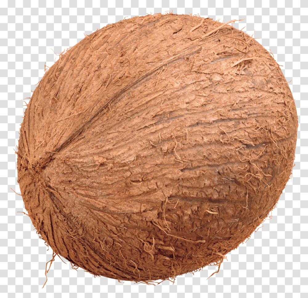 Coconut, Fruit Transparent Png