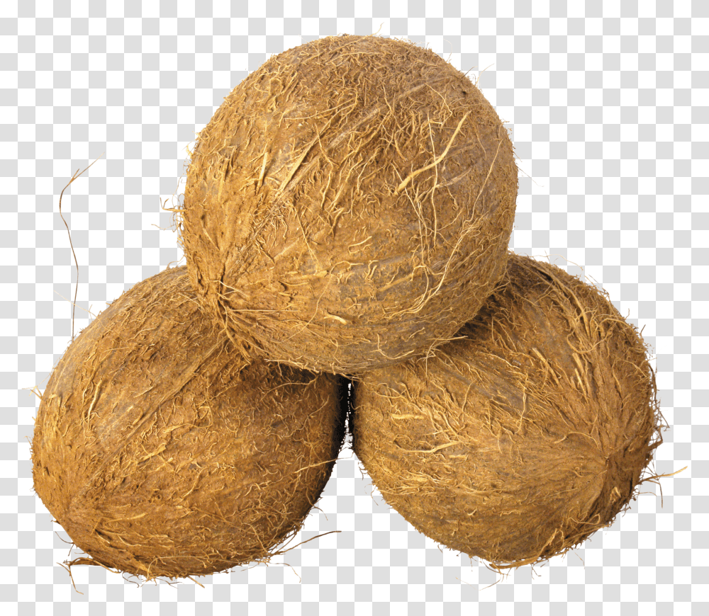 Coconut, Fruit Transparent Png