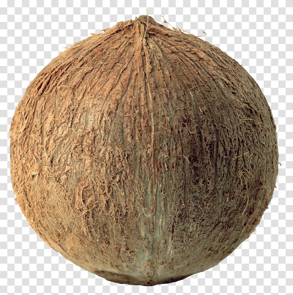 Coconut, Fruit Transparent Png