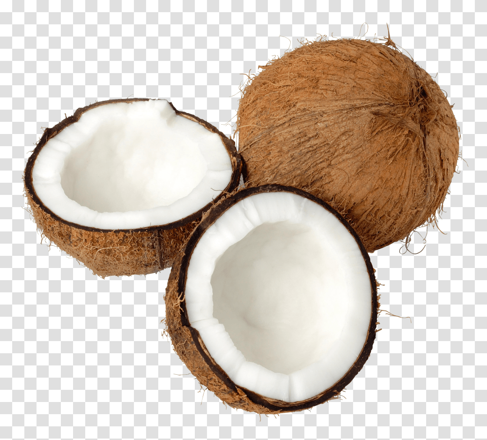 Coconut, Fruit Transparent Png