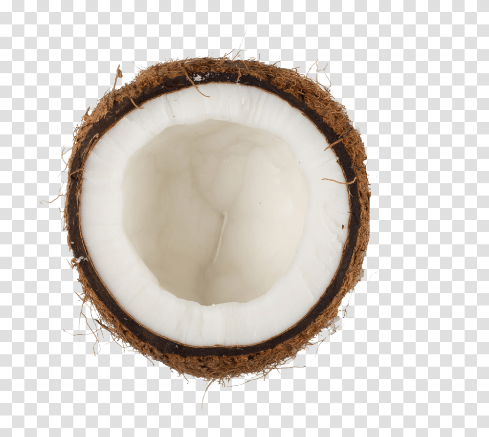 Coconut Hd Images, Plant, Vegetable, Food, Fruit Transparent Png