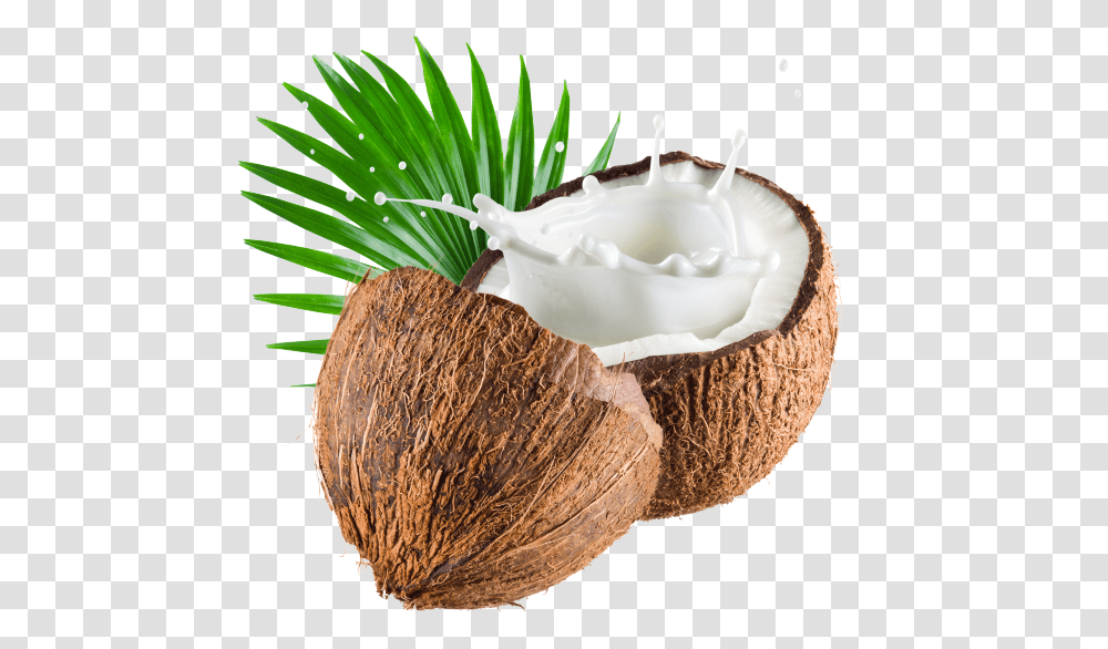 Coconut Image Coconut Milk, Plant, Vegetable, Food, Fruit Transparent Png